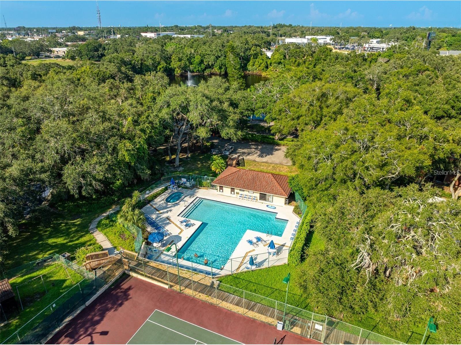 2636 2nd Court Palm Harbor FL 34684 TB8492311 image47