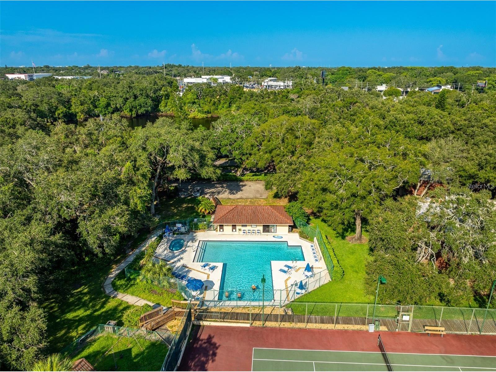 2636 2nd Court Palm Harbor FL 34684 TB8492311 image48