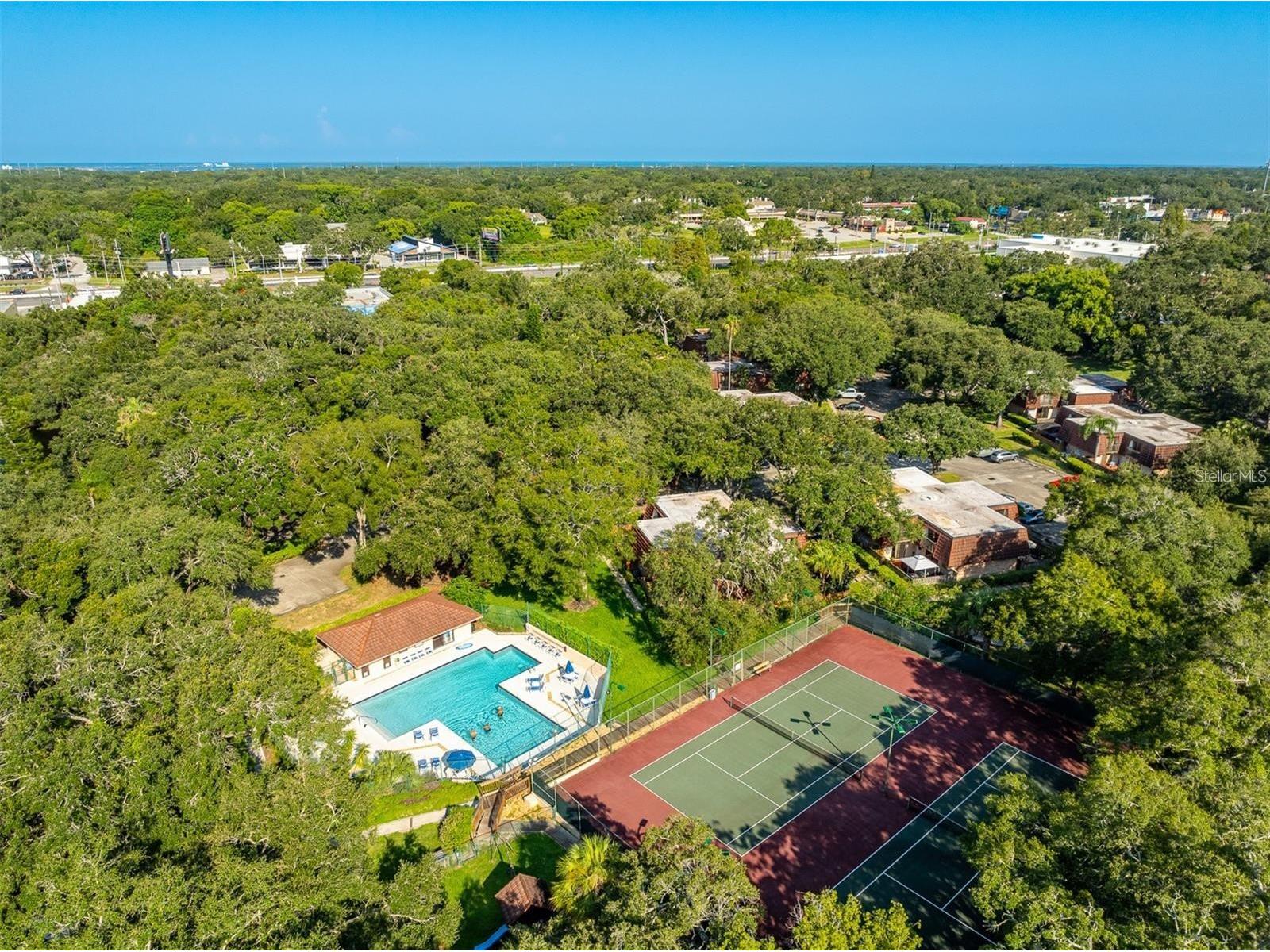 2636 2nd Court Palm Harbor FL 34684 TB8492311 image49