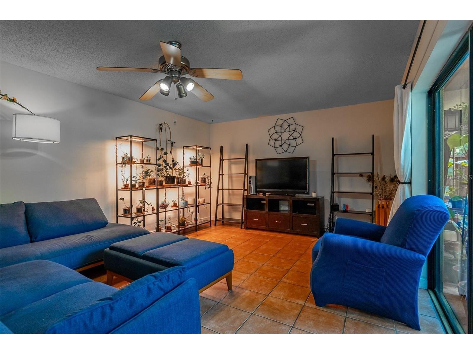 2636 2nd Court Palm Harbor FL 34684 TB8492311 image8