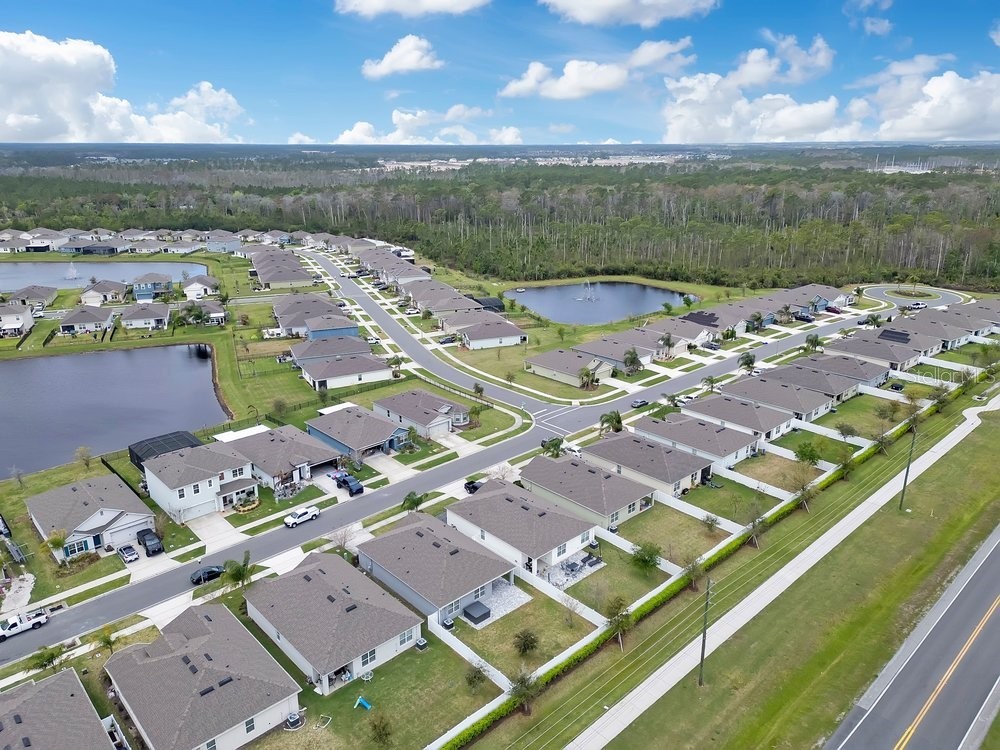 2636 Neverland Drive New Smyrna Beach FL 32168 O6393564 image32