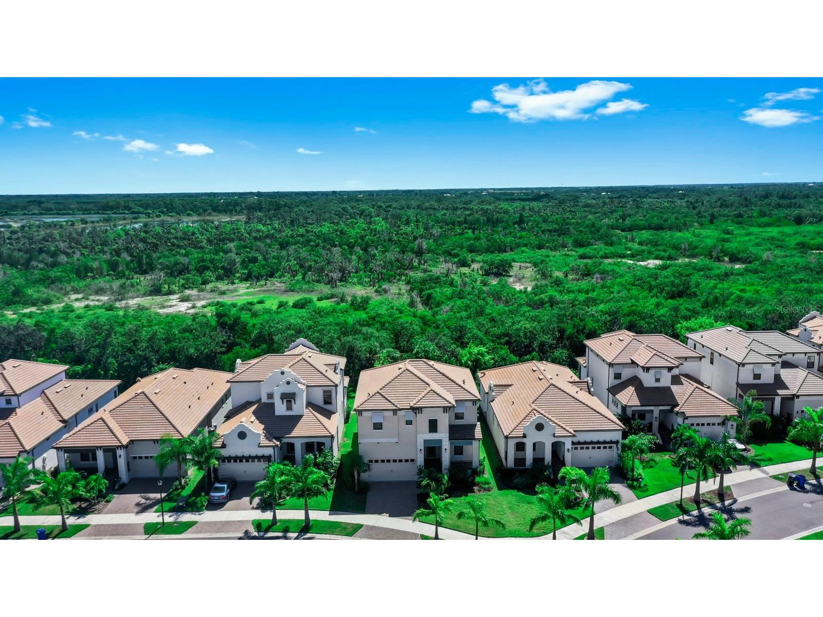 2636 Yellow Sundial Loop Ruskin FL 33570 TB8474383 image2