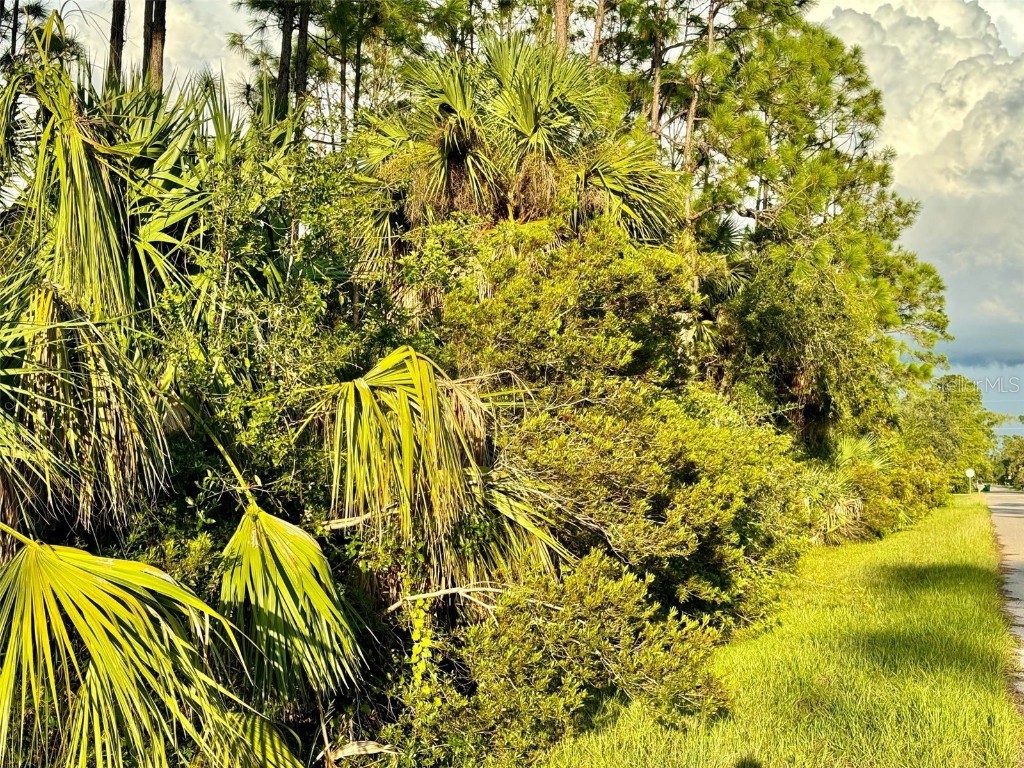 26360 Flower Road Punta Gorda FL 33955 C7481374 image1