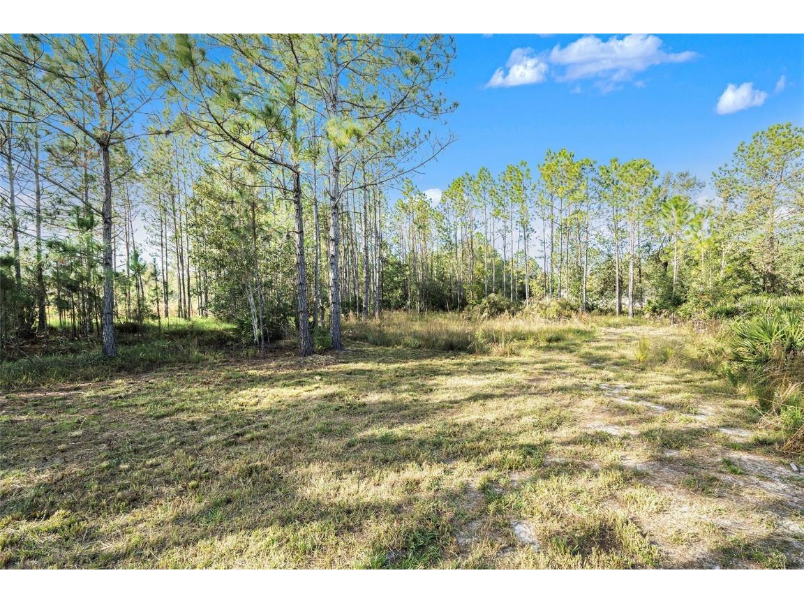 26369 Lawrence Avenue Wesley Chapel FL 33544 TB8313509 image1