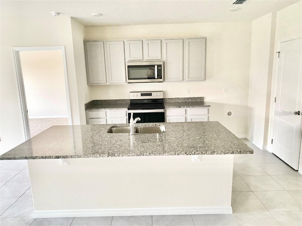 2637 Rowan Street Tavares FL 32778 O6303301 image3