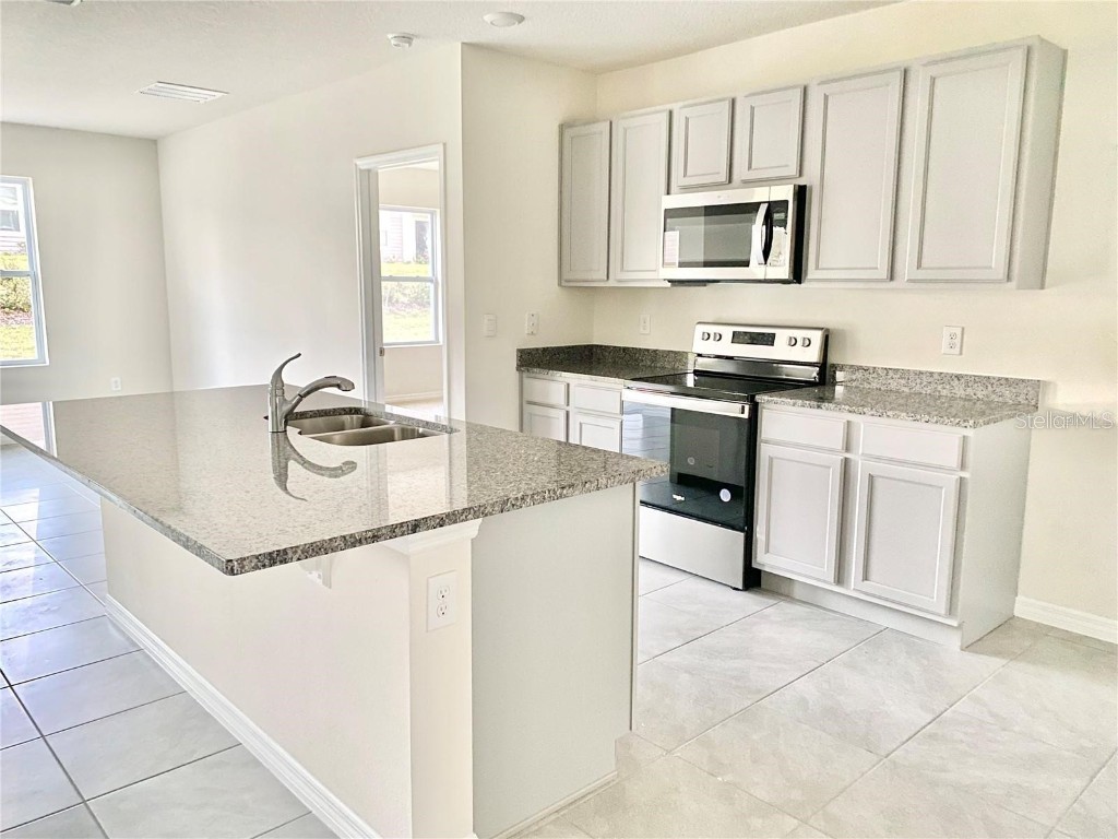 2637 Rowan Street Tavares FL 32778 O6303301 image4