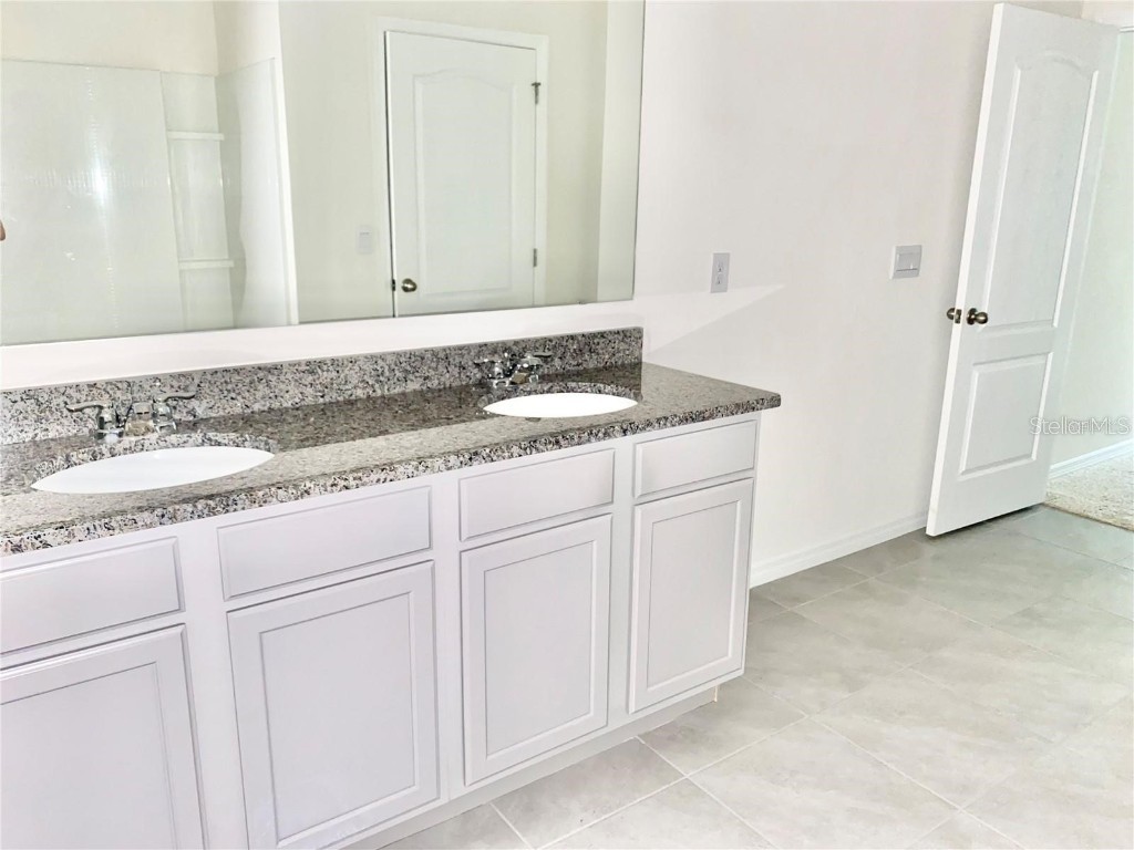 2637 Rowan Street Tavares FL 32778 O6303301 image8