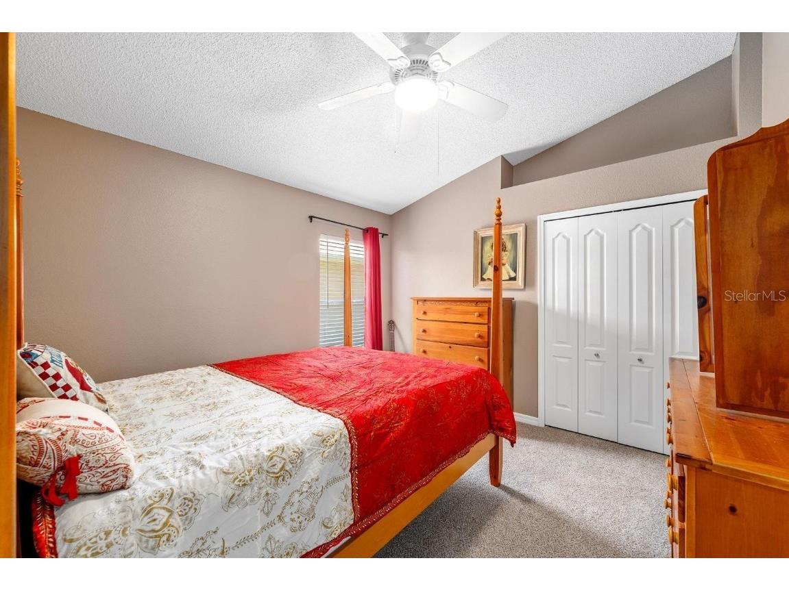 2637 Timacqua Drive Holiday FL 34691 TB8409125 image17