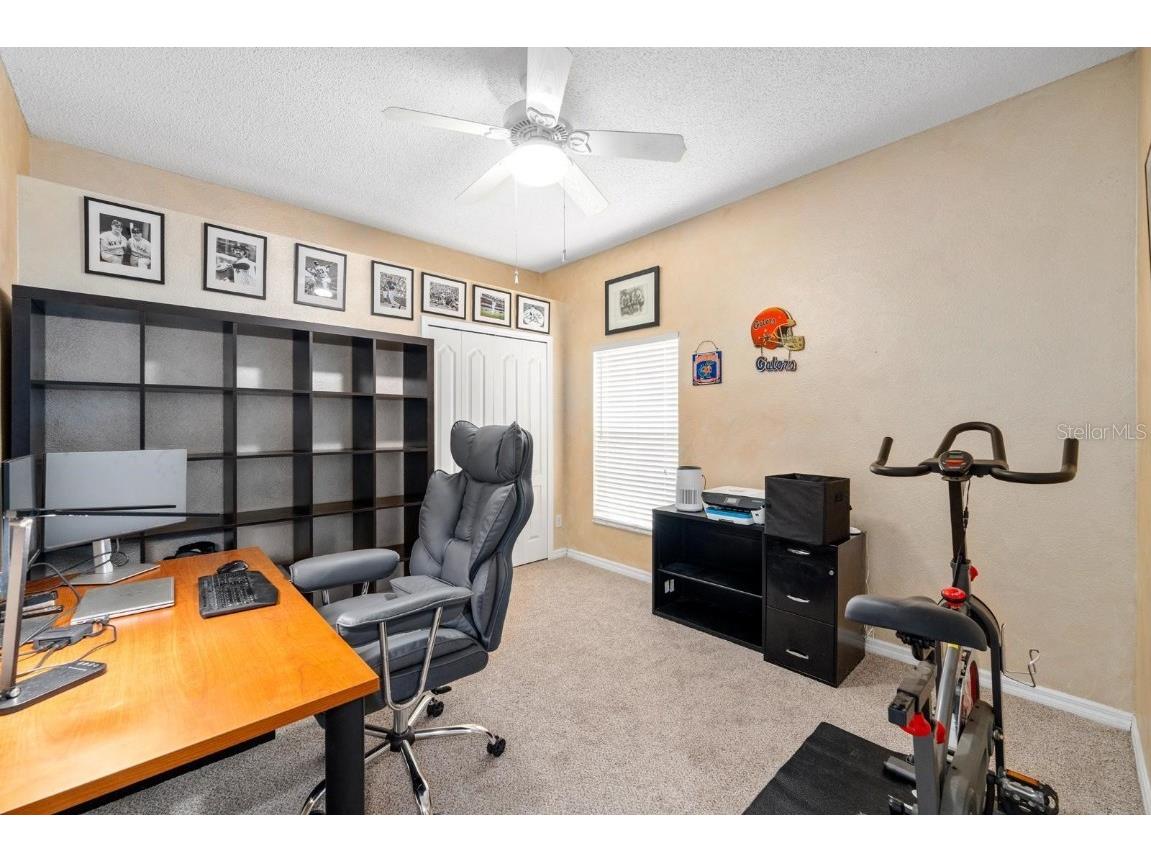 2637 Timacqua Drive Holiday FL 34691 TB8409125 image19