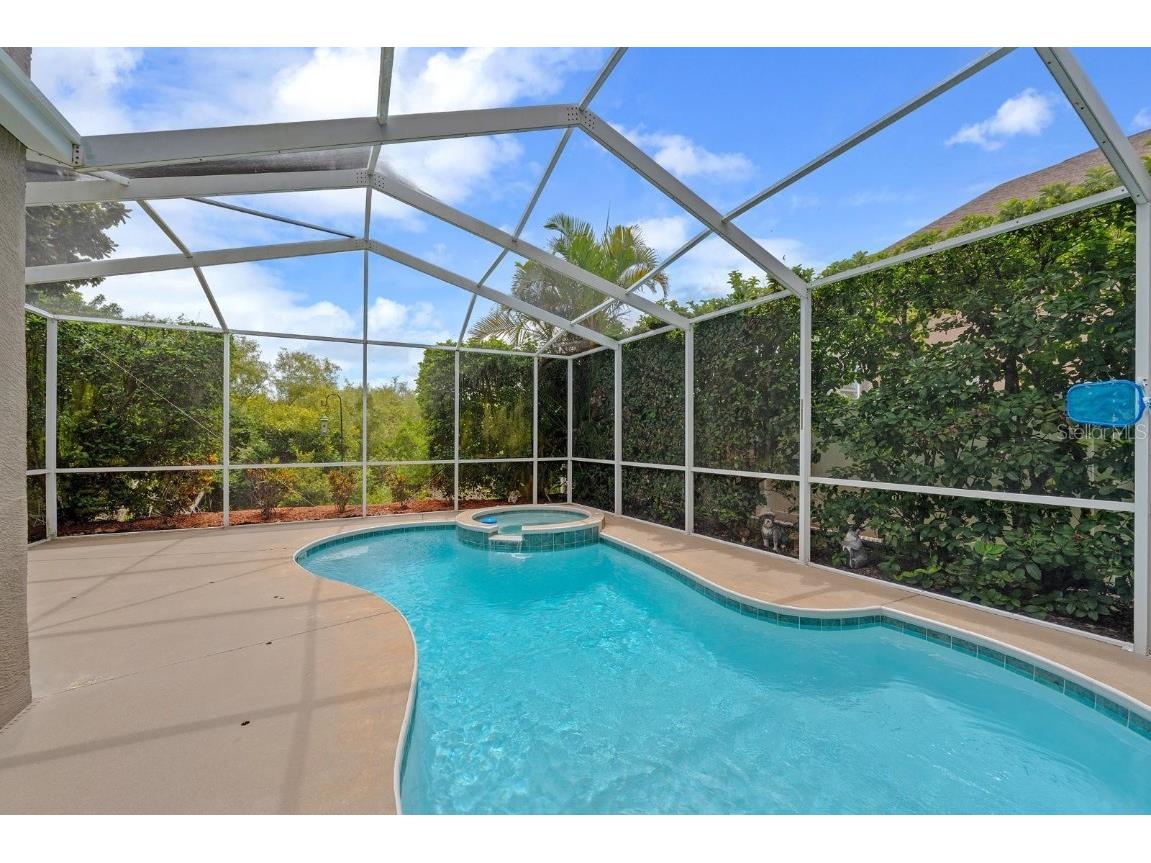 2637 Timacqua Drive Holiday FL 34691 TB8409125 image25