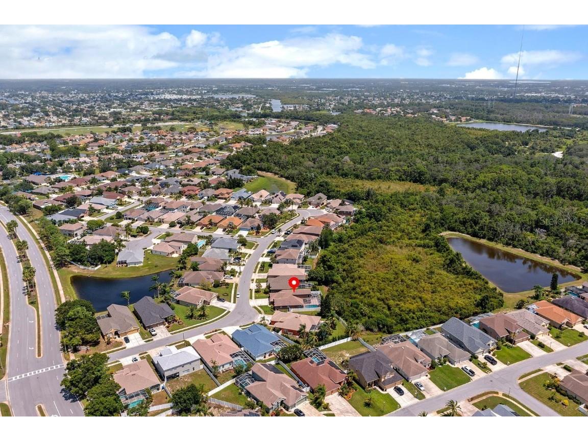 2637 Timacqua Drive Holiday FL 34691 TB8409125 image3