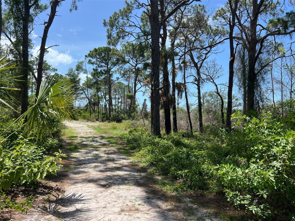 2637 Timacqua Drive Holiday FL 34691 TB8409125 image32