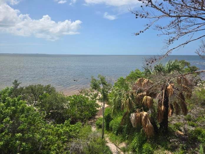 2637 Timacqua Drive Holiday FL 34691 TB8409125 image35