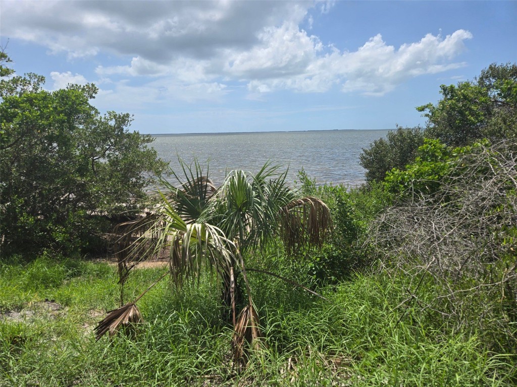 2637 Timacqua Drive Holiday FL 34691 TB8409125 image36