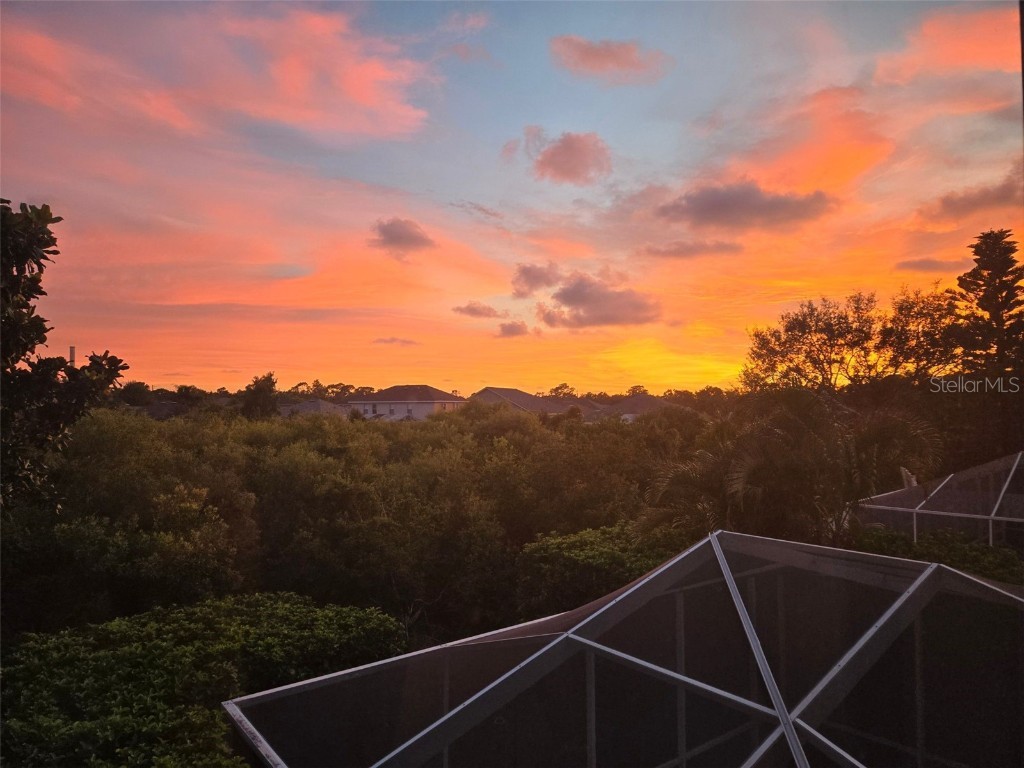 2637 Timacqua Drive Holiday FL 34691 TB8409125 image41