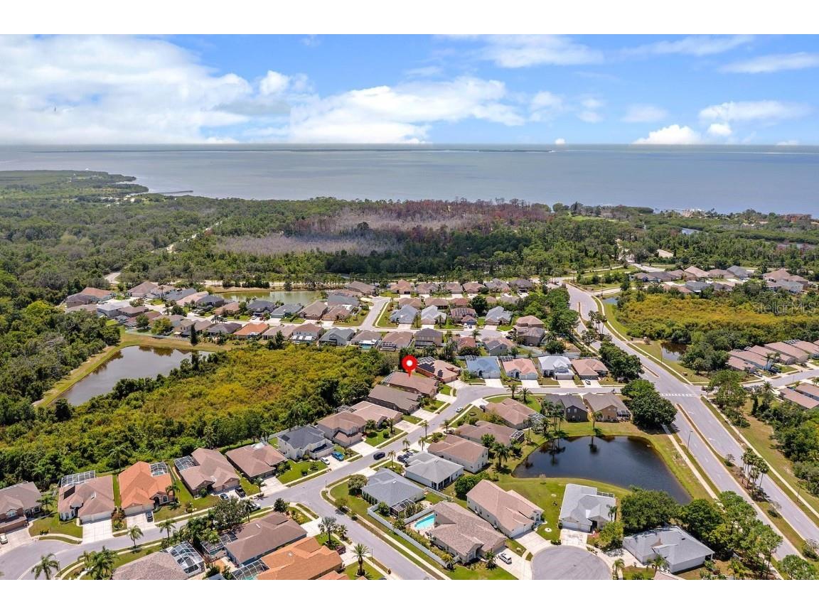 2637 Timacqua Drive Holiday FL 34691 TB8409125 image45