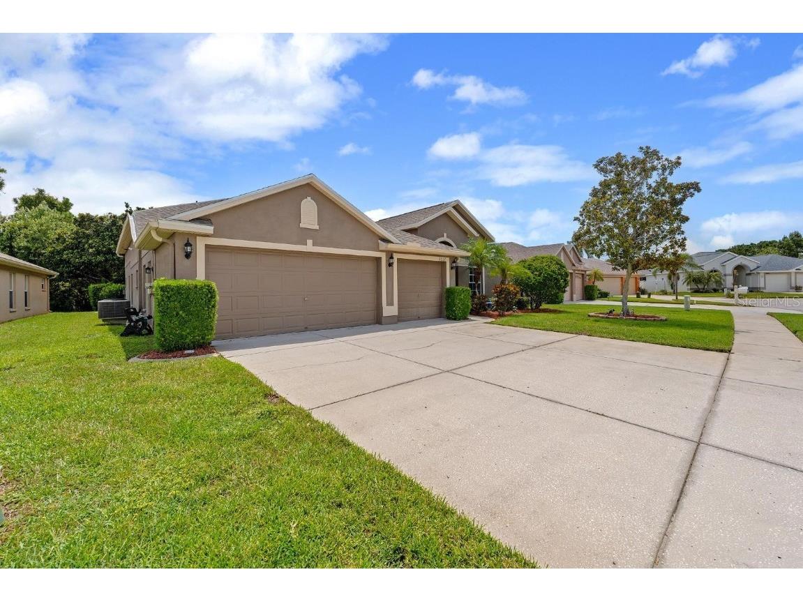 2637 Timacqua Drive Holiday FL 34691 TB8409125 image49