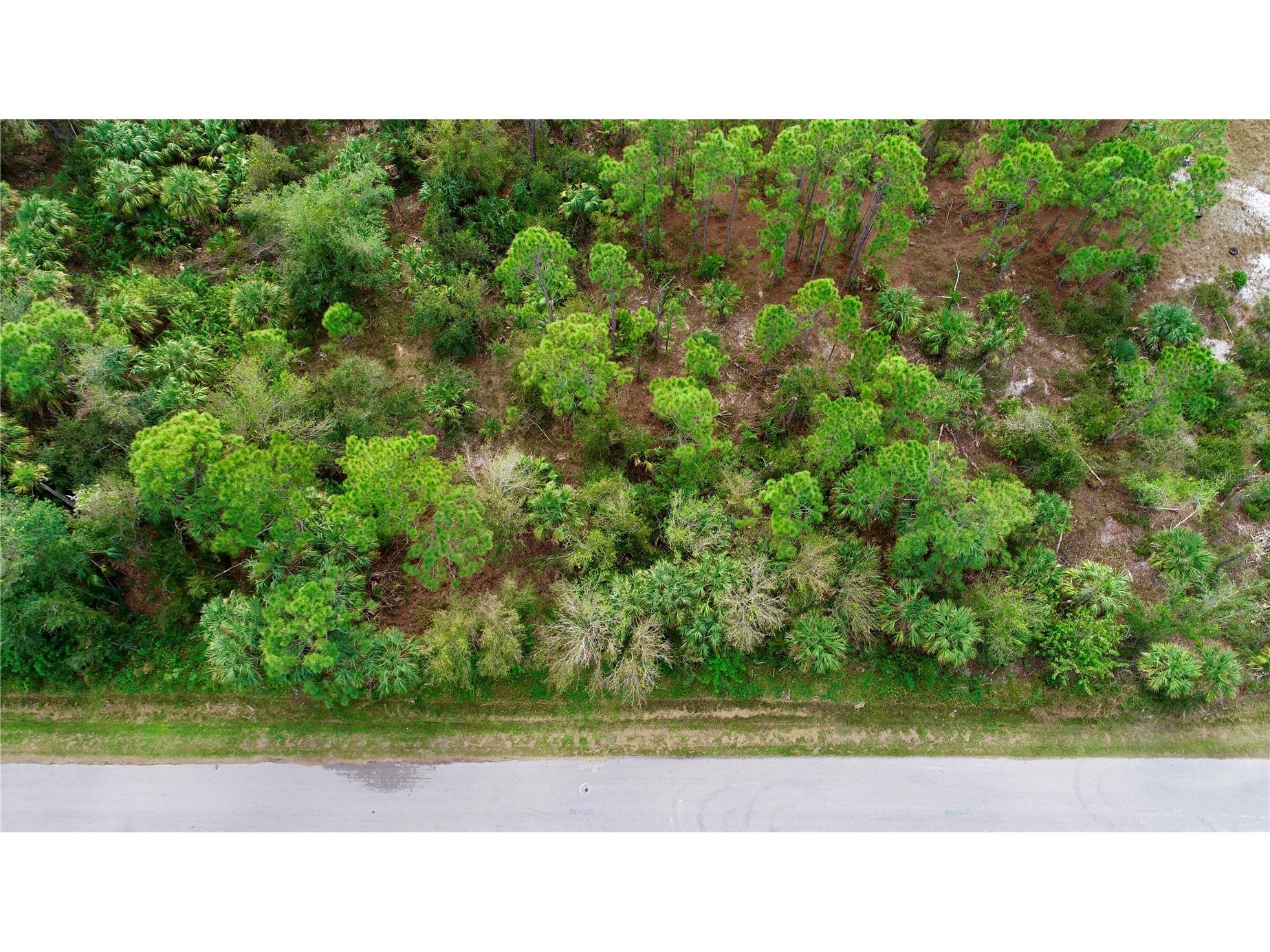 26373 Deer Road Punta Gorda FL 33955 C7525136 image3