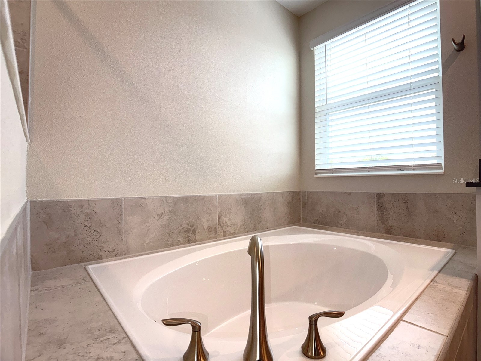 2638 Camden Park Loop Davenport FL 33837 O6399335 image26