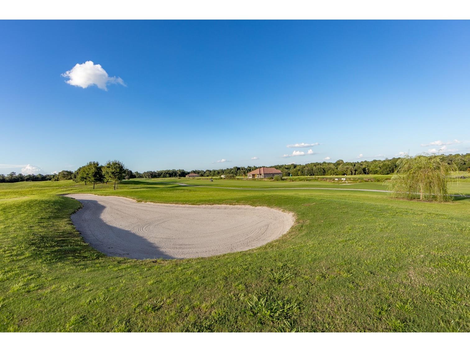 2638 Camden Park Loop Davenport FL 33837 O6399335 image66