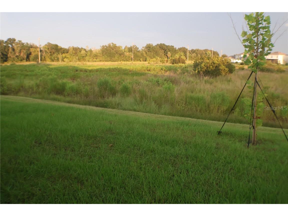 2638 Galway Grove Way Lakeland FL 33811 A4662269 image28