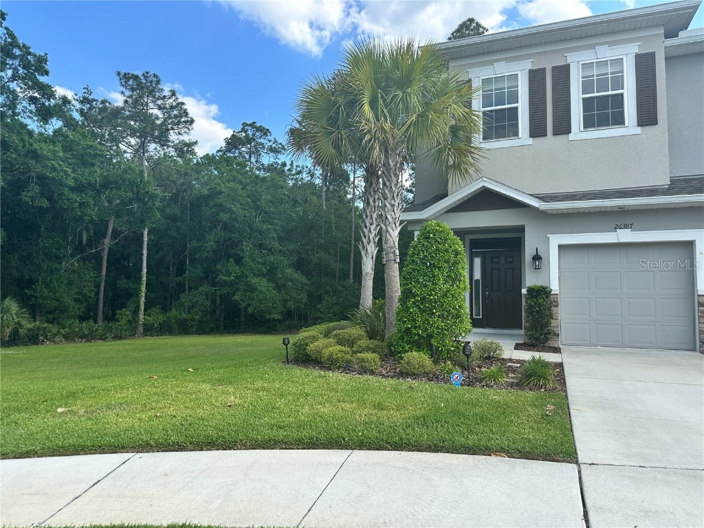 26387 Limestone Springs Way Wesley Chapel FL 33544 T3503743 image1