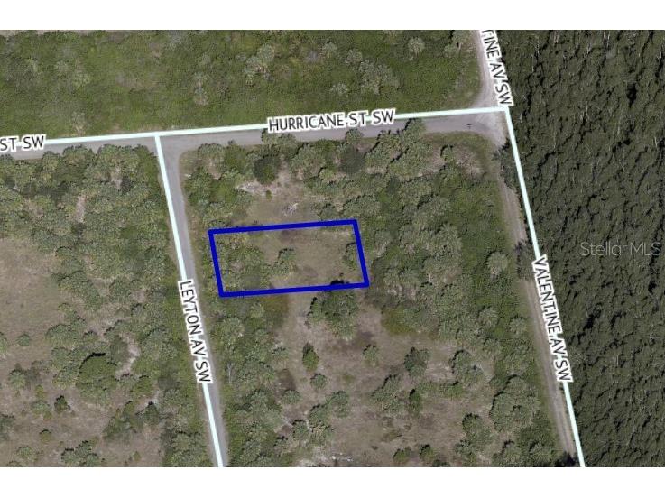 2639 Leyton Avenue SW Palm Bay FL 32908 O6141161 image1