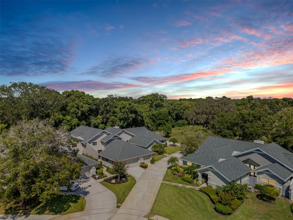 2639 Royal Liverpool Drive Tarpon Springs FL 34688 TB8428691 image1