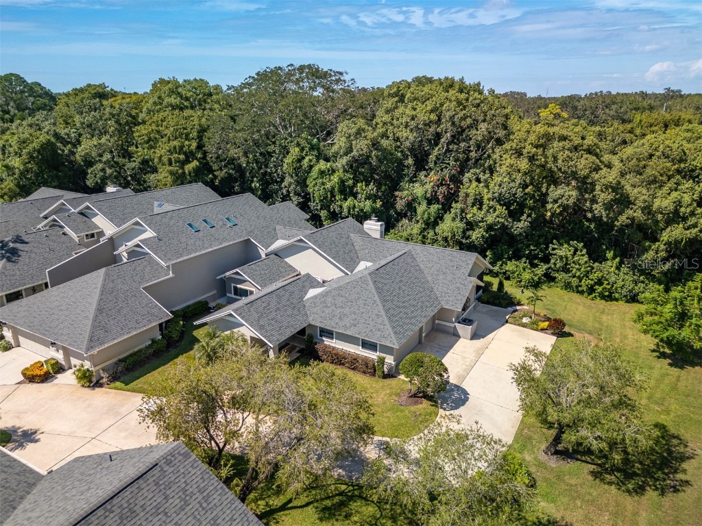 2639 Royal Liverpool Drive Tarpon Springs FL 34688 TB8428691 image39