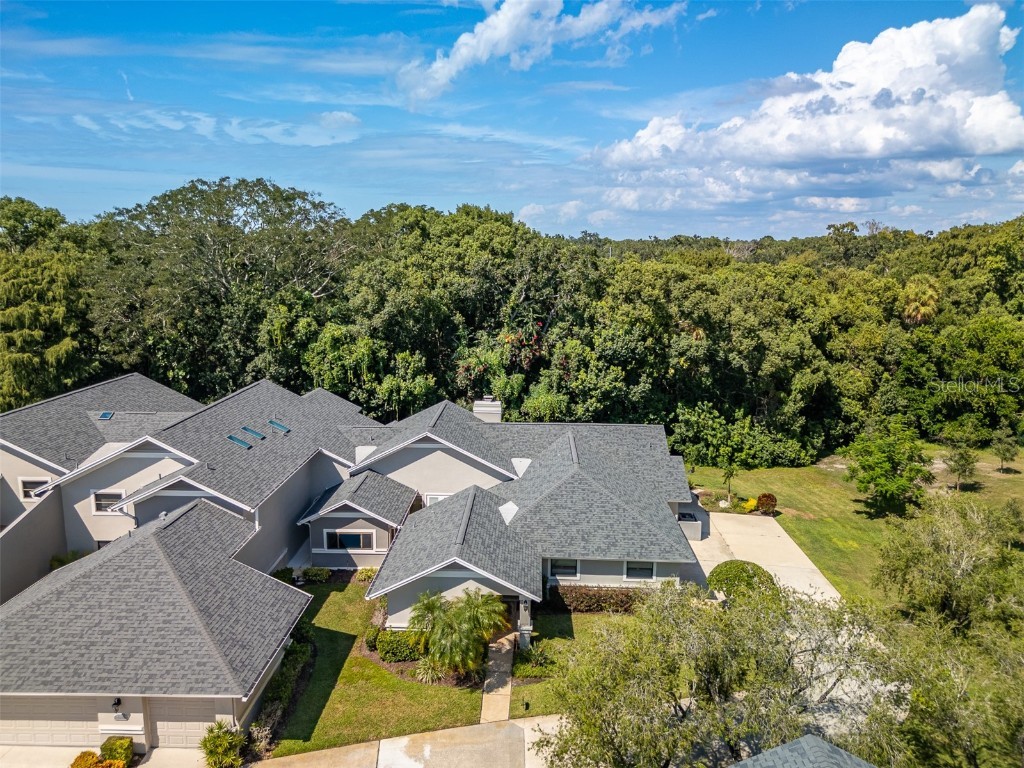 2639 Royal Liverpool Drive Tarpon Springs FL 34688 TB8428691 image40