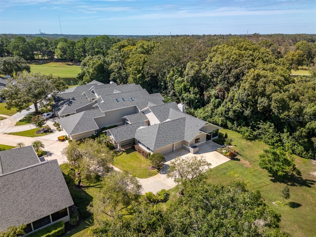 2639 Royal Liverpool Drive Tarpon Springs FL 34688 TB8428691 image41