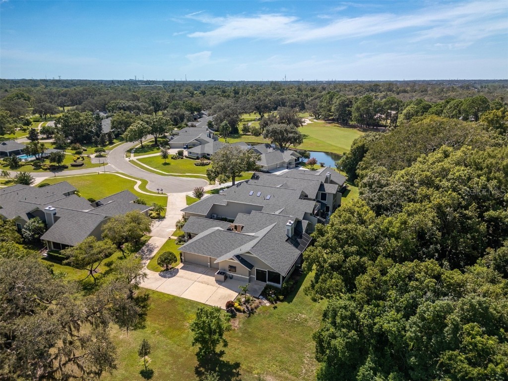 2639 Royal Liverpool Drive Tarpon Springs FL 34688 TB8428691 image43