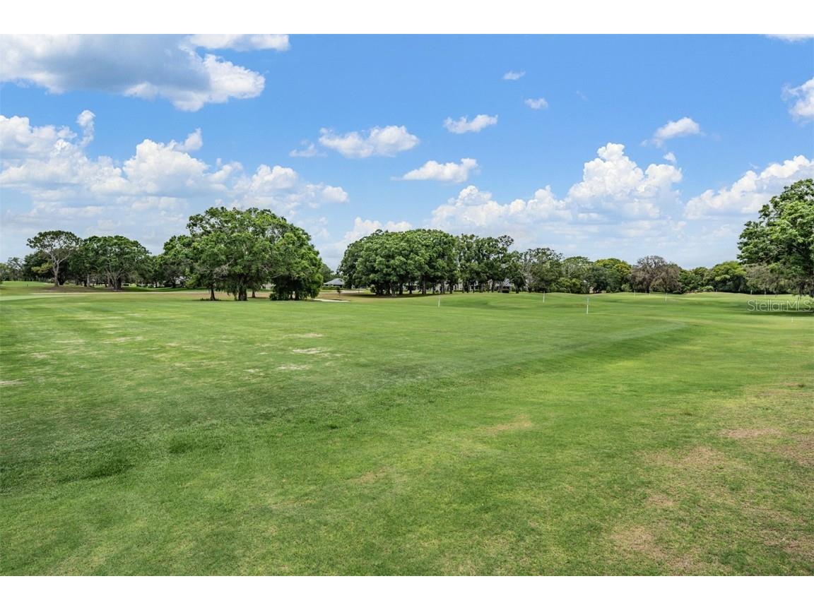 2639 Royal Liverpool Drive Tarpon Springs FL 34688 TB8428691 image58