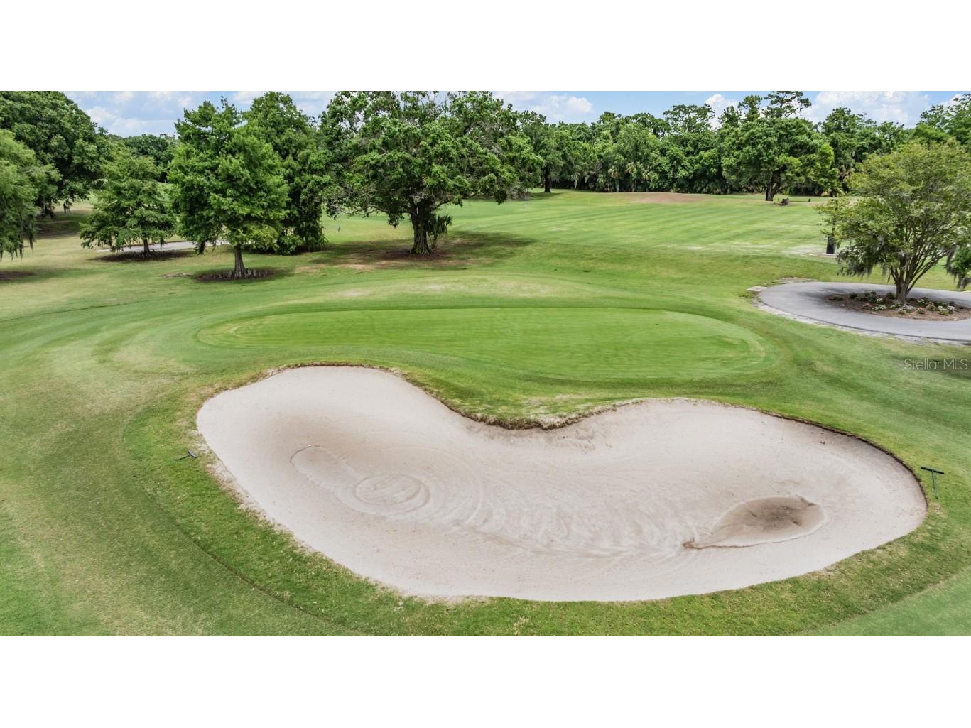 2639 Royal Liverpool Drive Tarpon Springs FL 34688 TB8428691 image60