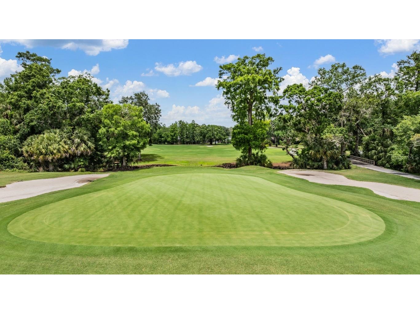 2639 Royal Liverpool Drive Tarpon Springs FL 34688 TB8428691 image61