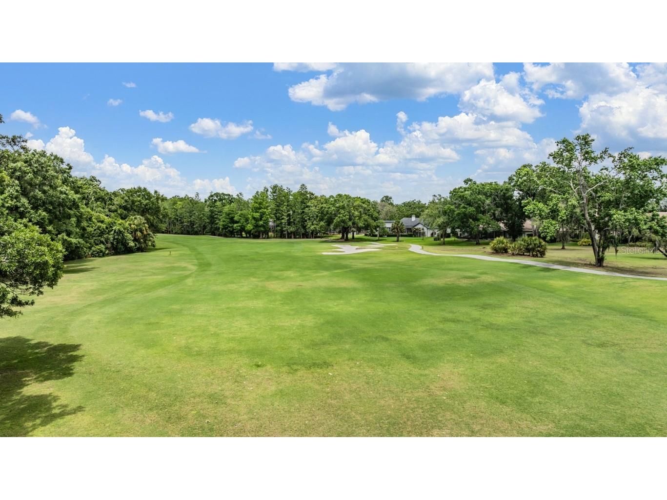 2639 Royal Liverpool Drive Tarpon Springs FL 34688 TB8428691 image62