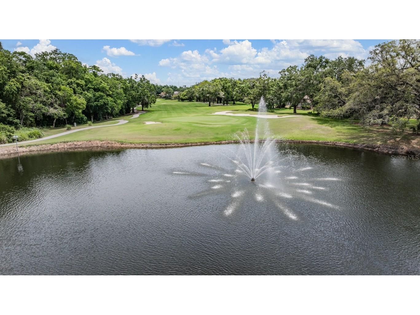 2639 Royal Liverpool Drive Tarpon Springs FL 34688 TB8428691 image63