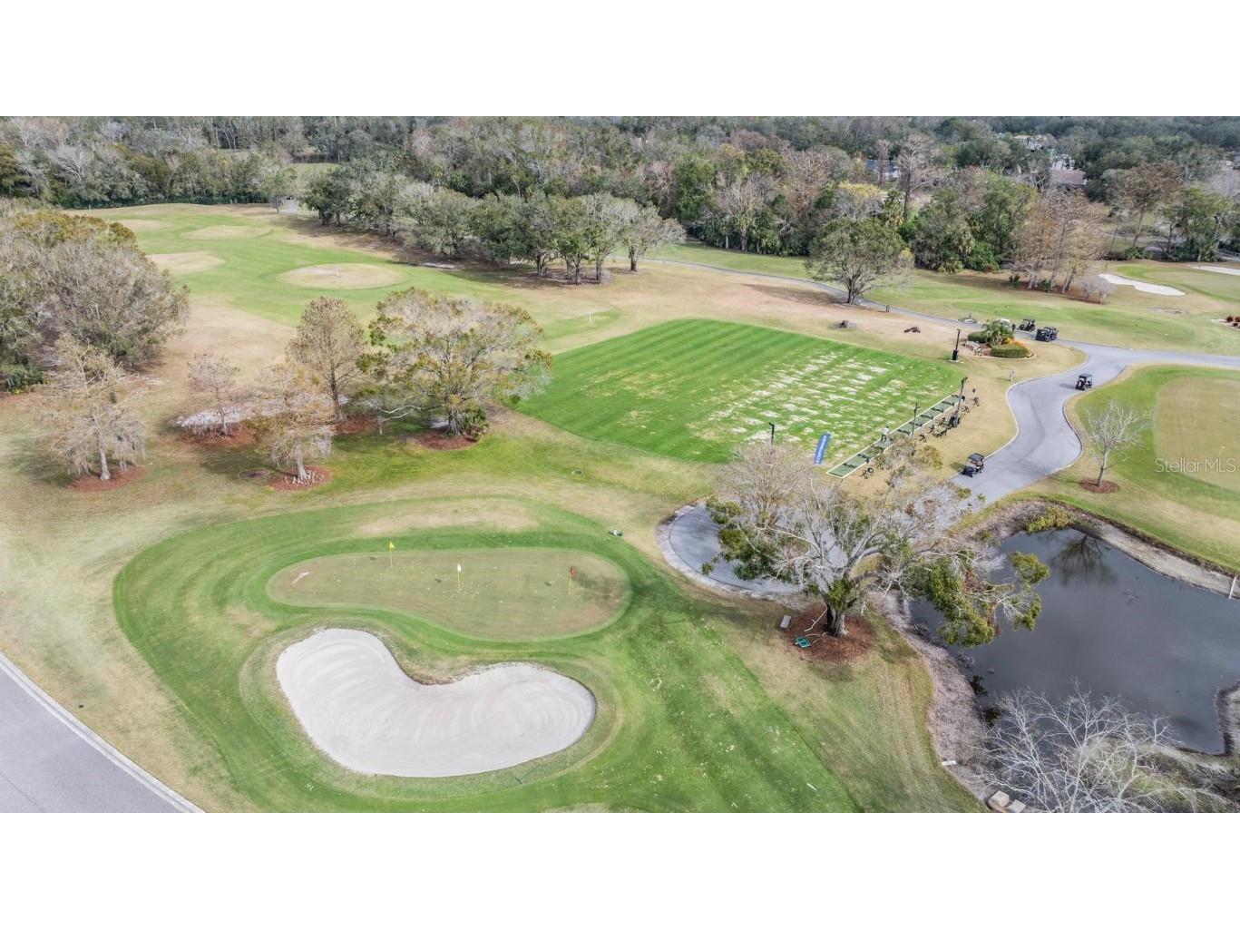 2639 Royal Liverpool Drive Tarpon Springs FL 34688 TB8428691 image67