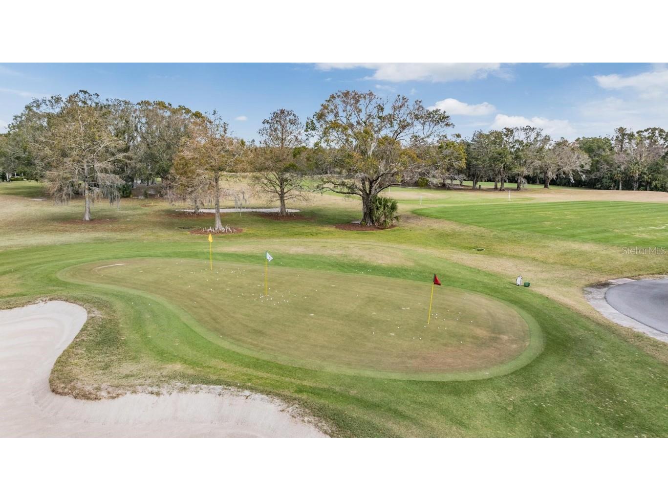 2639 Royal Liverpool Drive Tarpon Springs FL 34688 TB8428691 image68