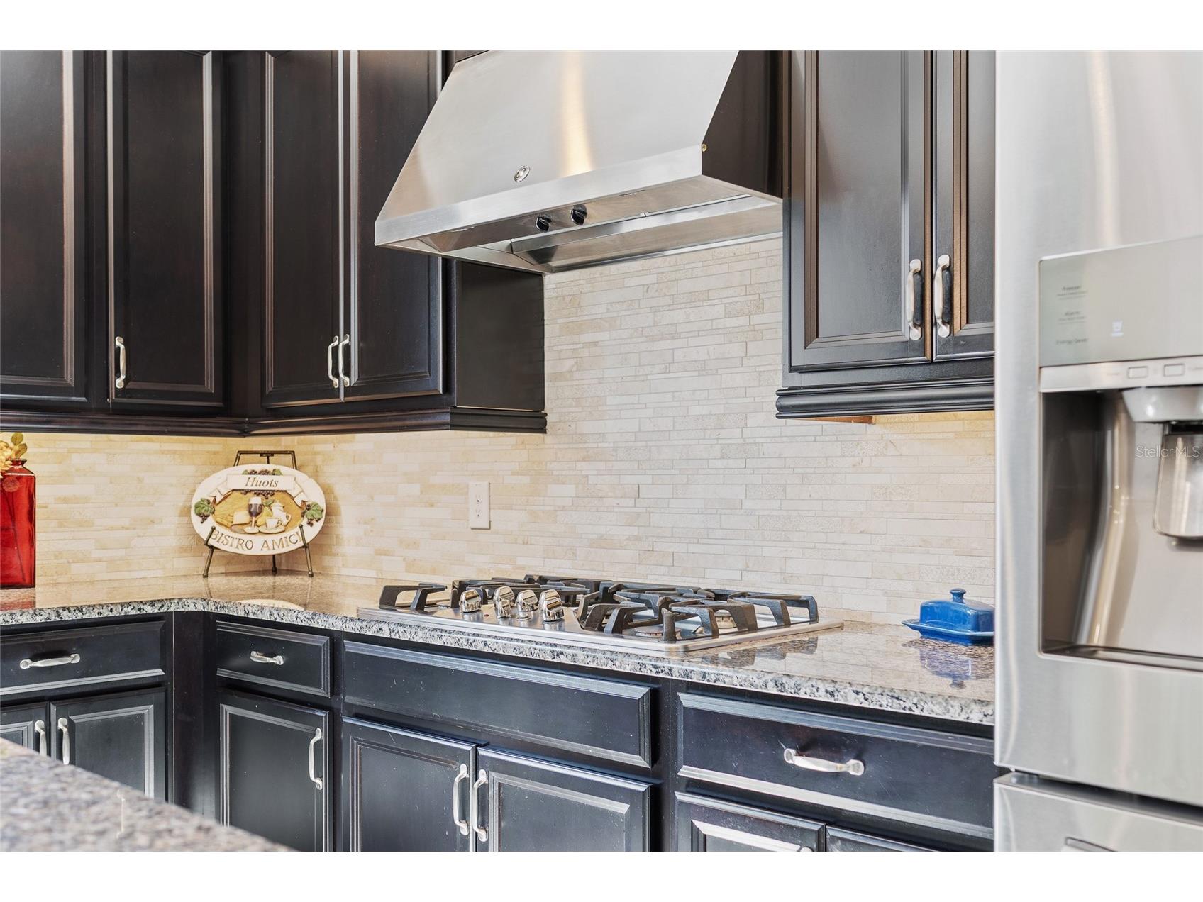 2639 Stargrass Circle Clermont FL 34715 O6379731 image10