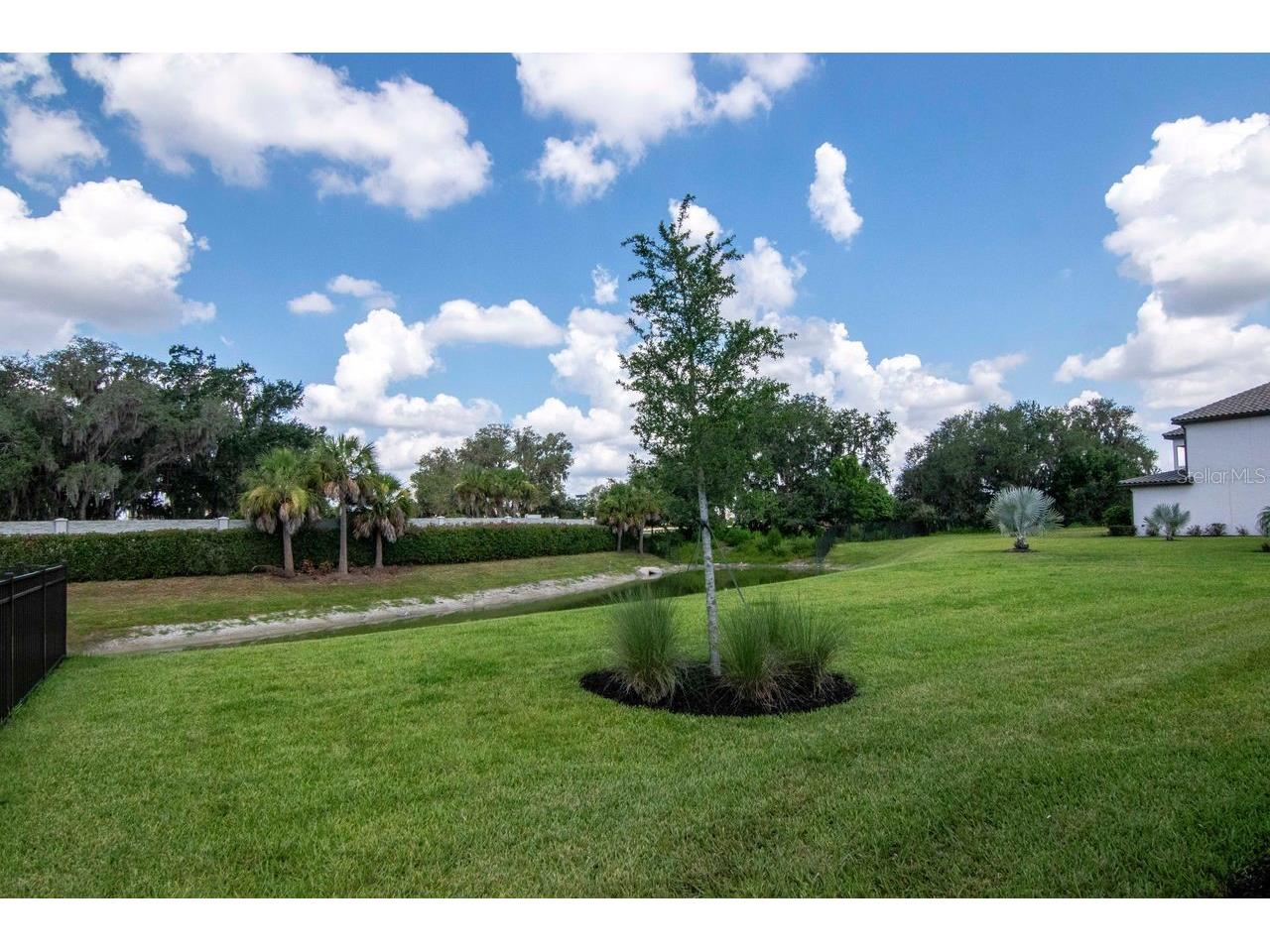 2639 Yacht Place Wesley Chapel FL 33543 TB8524507 image50