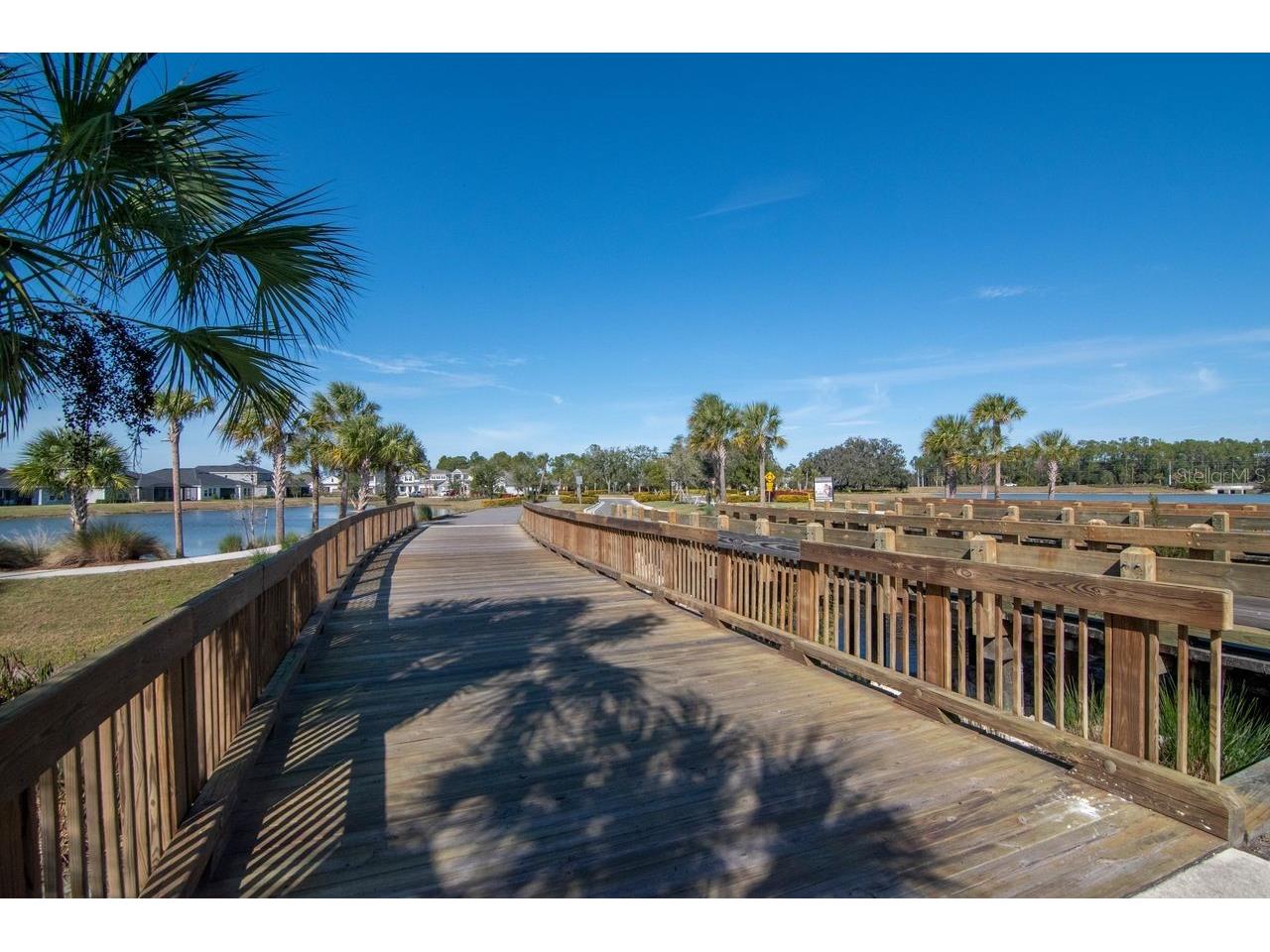 2639 Yacht Place Wesley Chapel FL 33543 TB8524507 image79