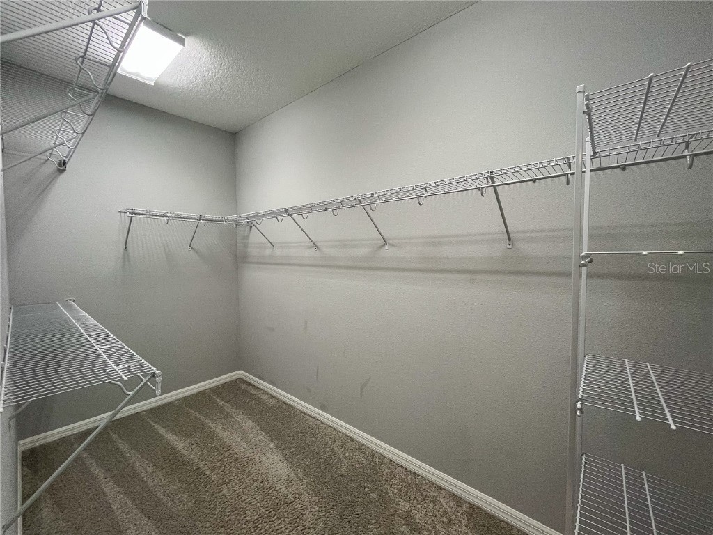 26391 Limestone Springs Way Wesley Chapel FL 33544 TB8457536 image12