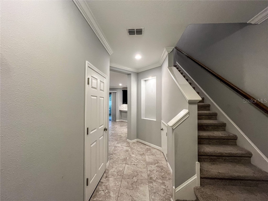 26391 Limestone Springs Way Wesley Chapel FL 33544 TB8457536 image5