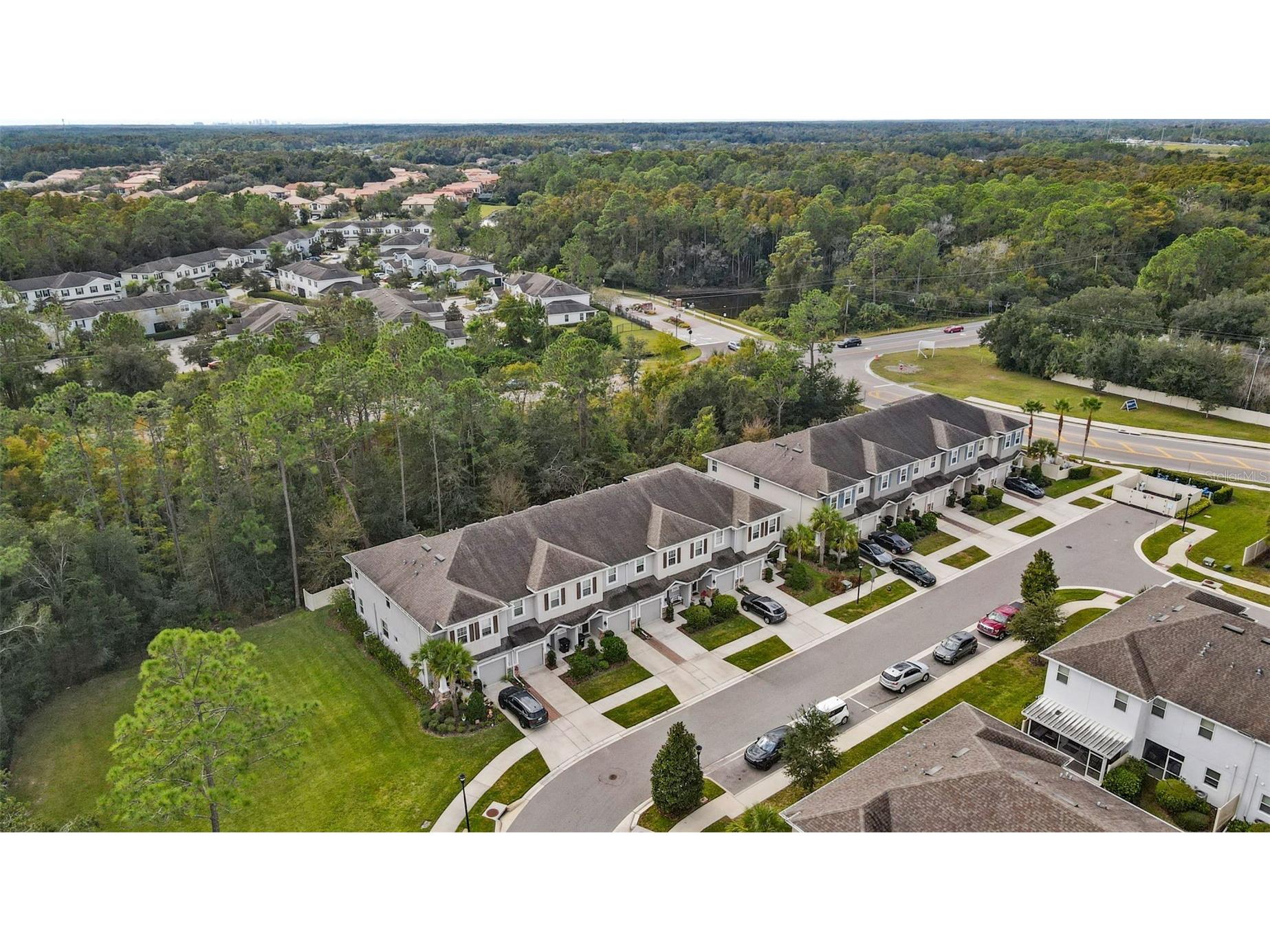 26399 Limestone Springs Way Wesley Chapel FL 33544 TB8503860 image30
