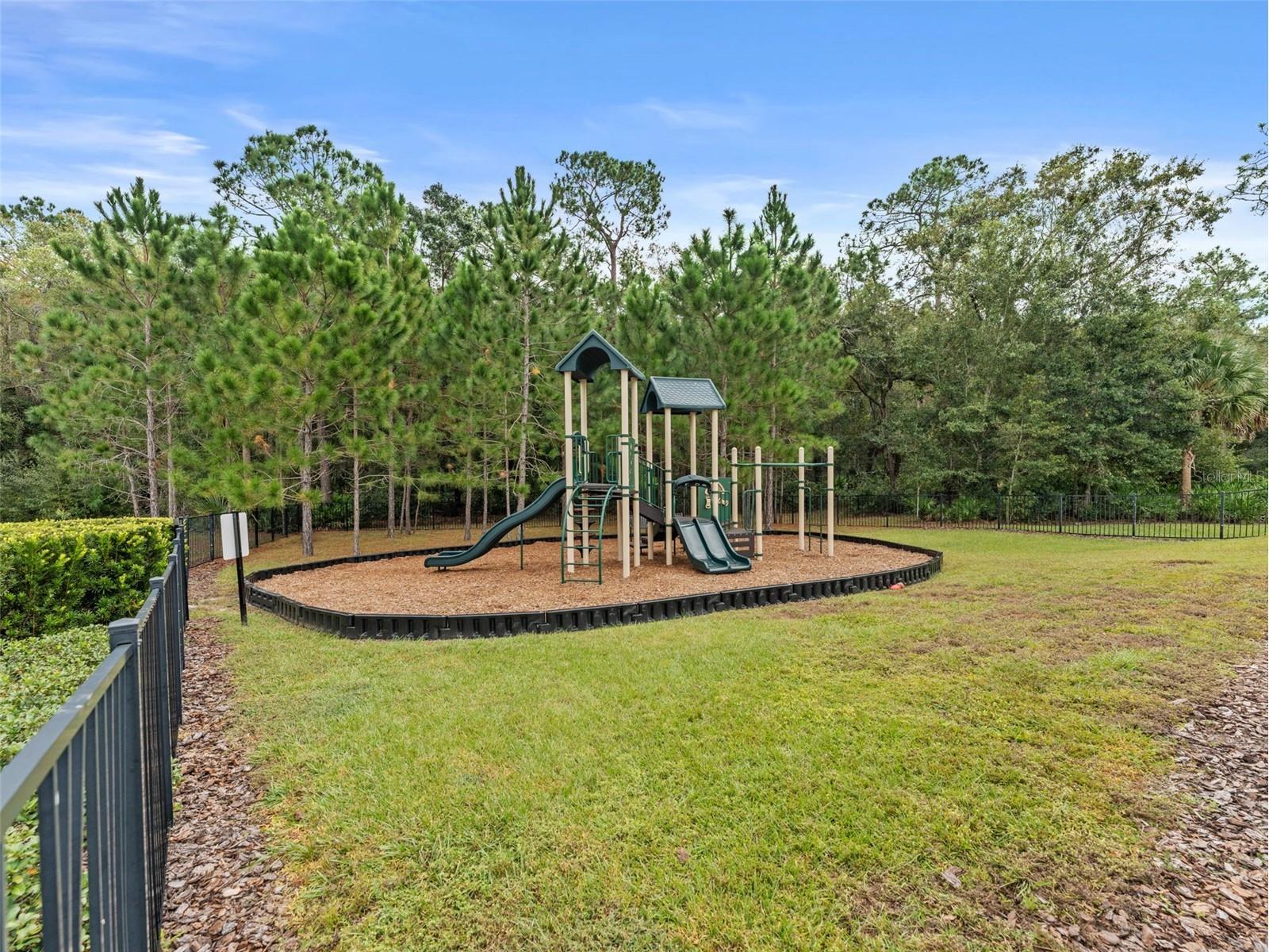 26399 Limestone Springs Way Wesley Chapel FL 33544 TB8503860 image32