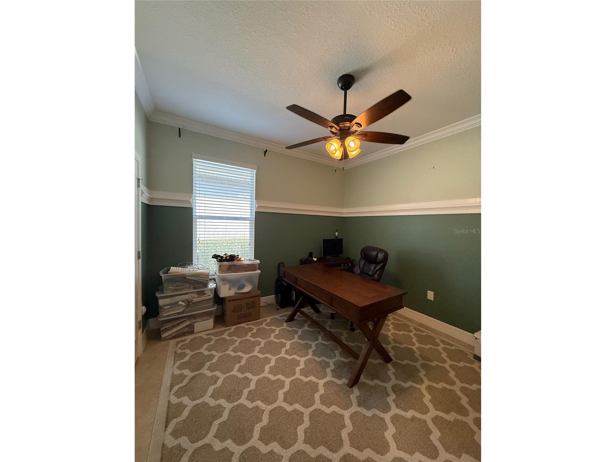264 Birkdale Drive Daytona Beach FL 32124 NS1087468 image13