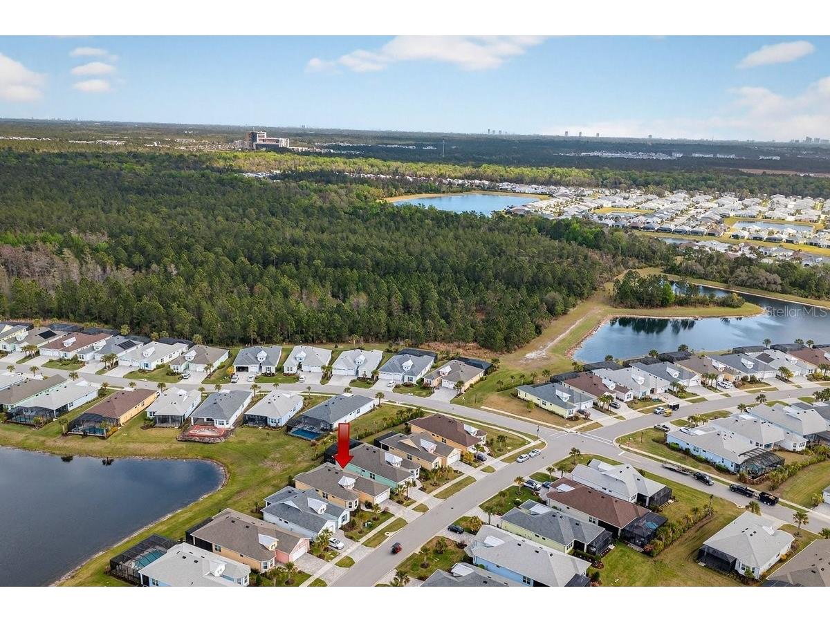 264 Margaritaville Avenue Daytona Beach FL 32124 V4949181 image47