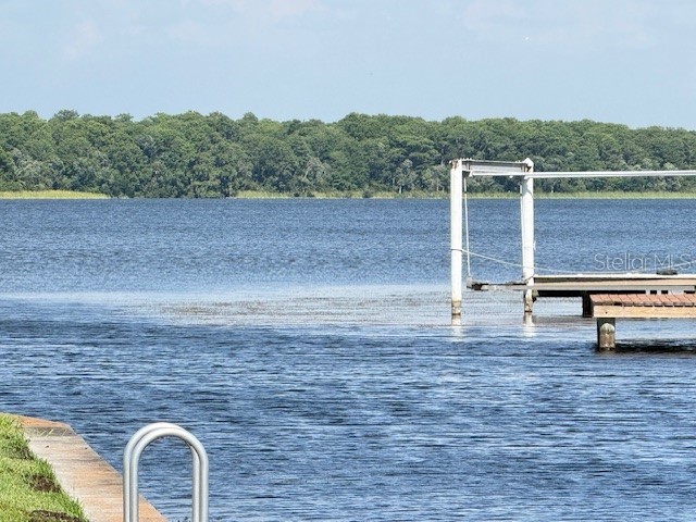 264 Philadelphia Boulevard #51 Palm Harbor FL 34684 - LAKE TARPON TB8433499 image19