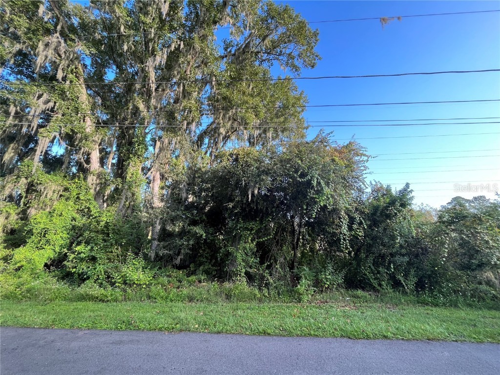 264 Toms Road Debary FL 32713 OK224888 image5